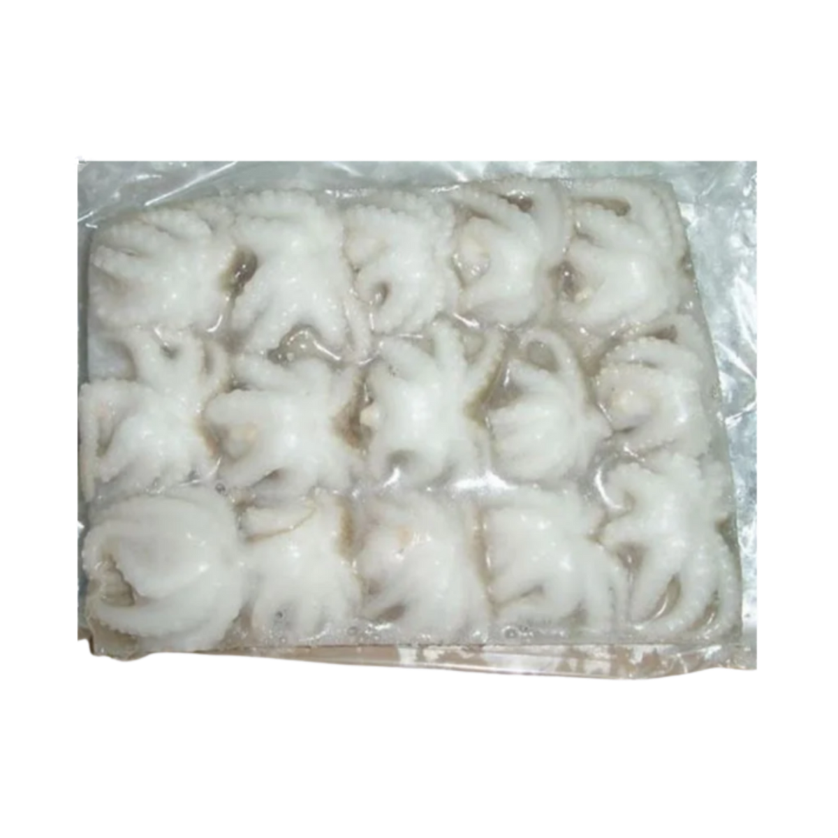 Baby Octopus - 26/40 - 24lbs