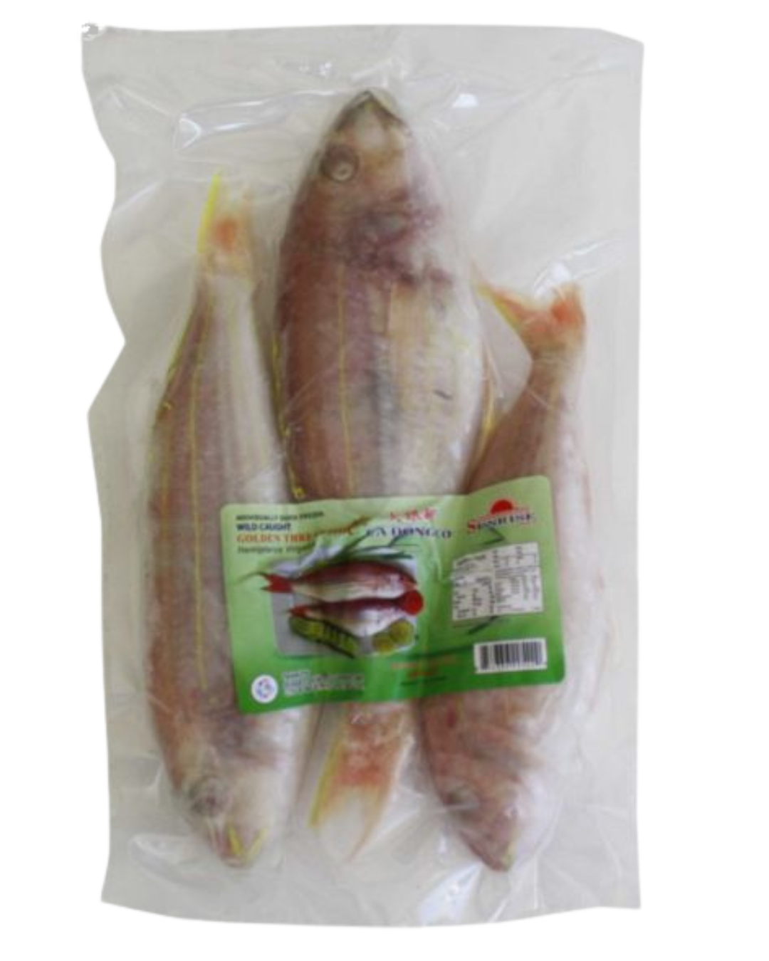 Golden Thread (Bisugo) 200/300 - 24lbs