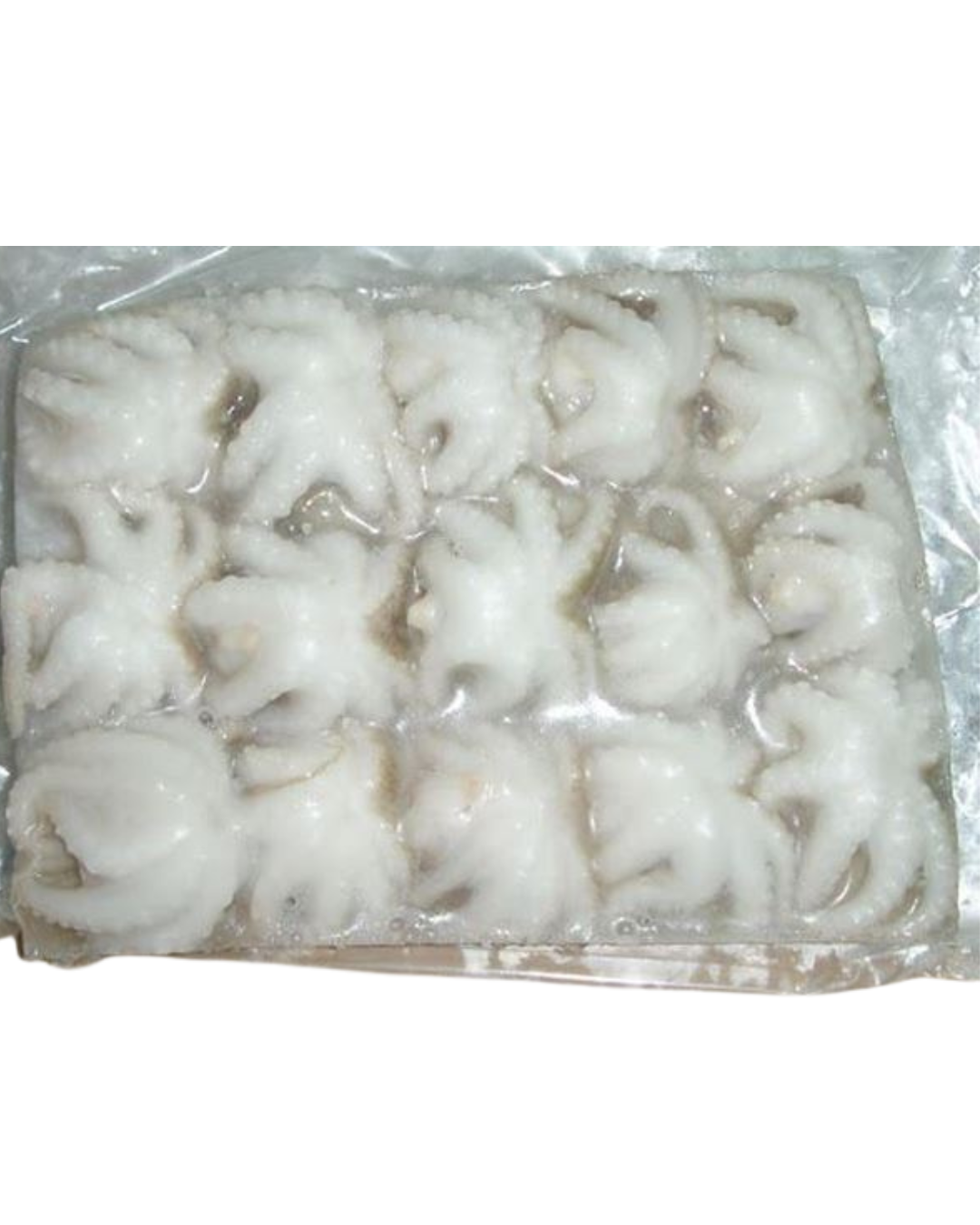 Baby Octopus 26/40 - 24lbs