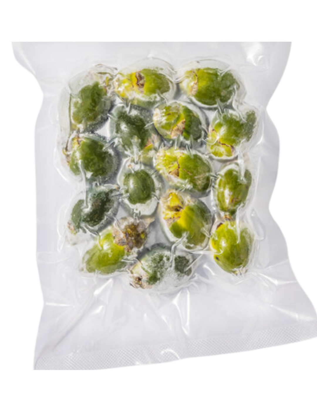 Palm Nut (Small) - 30/1lb