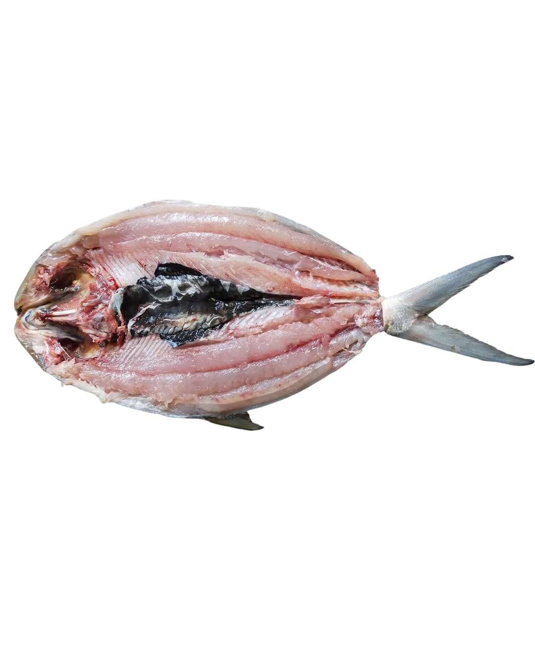 Royal Deboned Milkfish Unseasoned (FFD) - 30lbs | 480oz