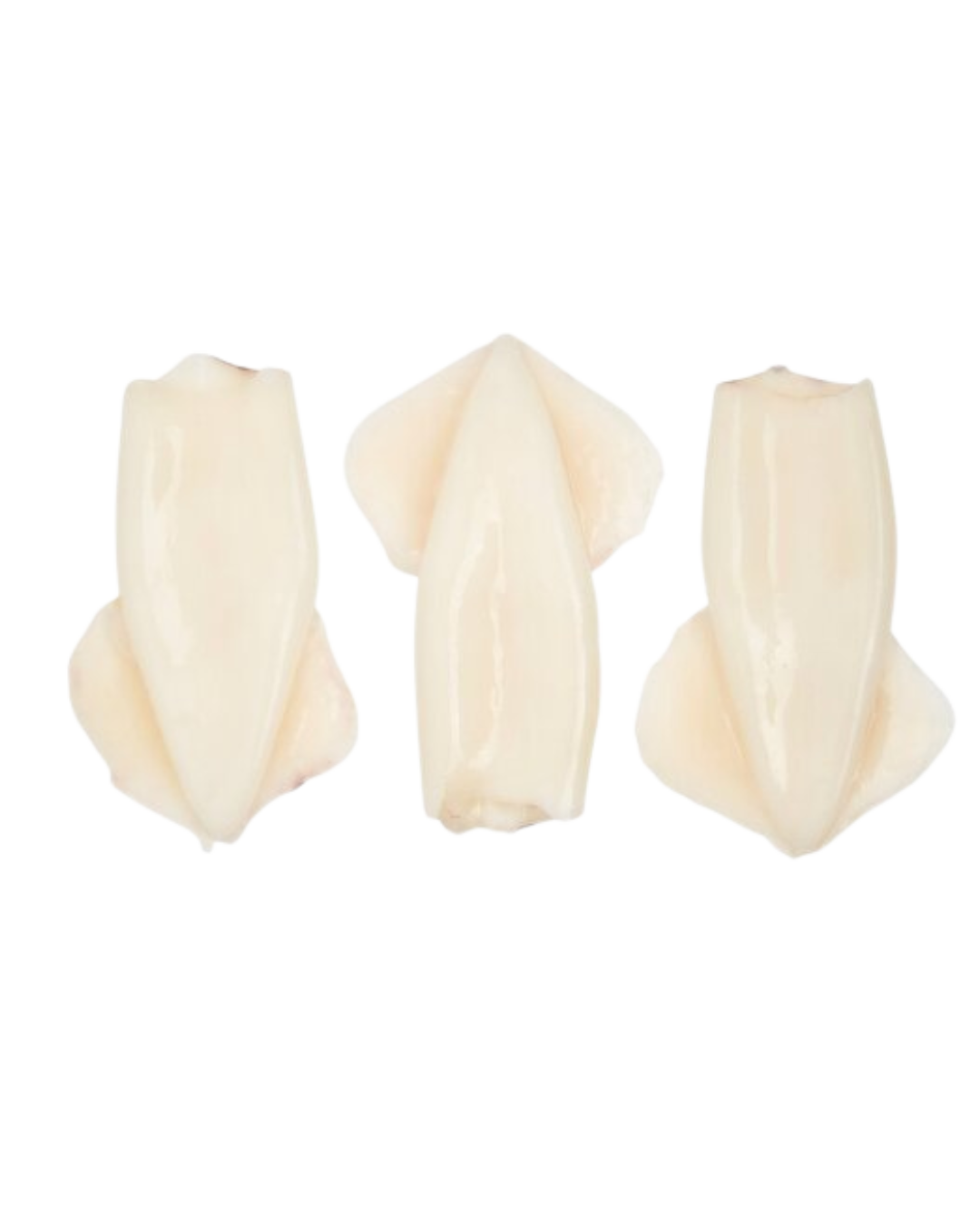 Squid Jumbo 400/600 - 40lbs