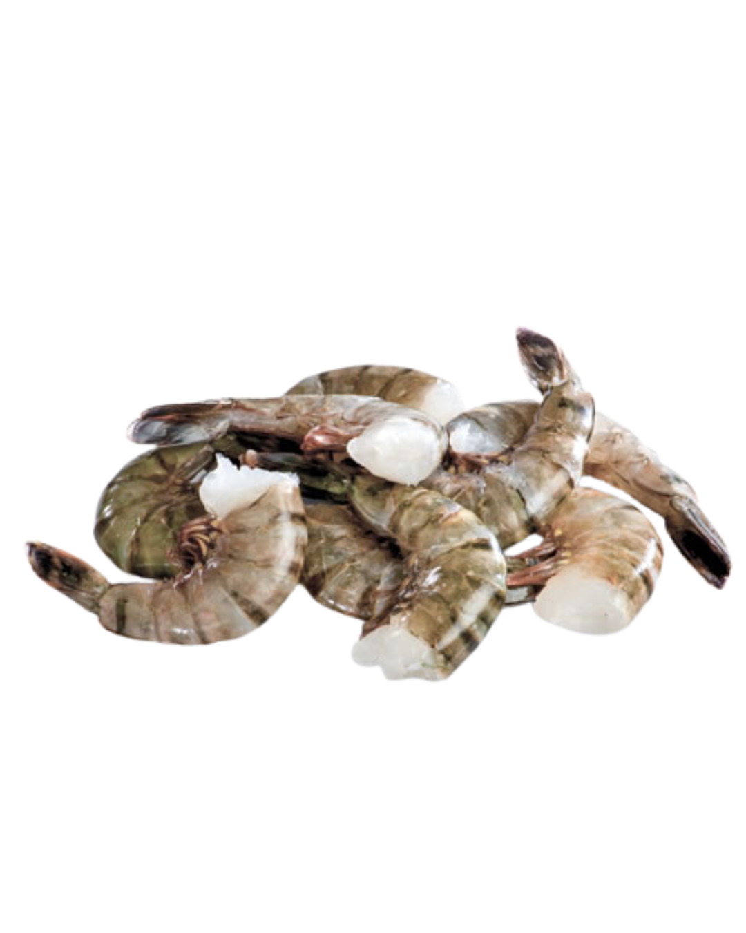 Black Tiger Prawn Headless- 13/15 - 6/4lbs