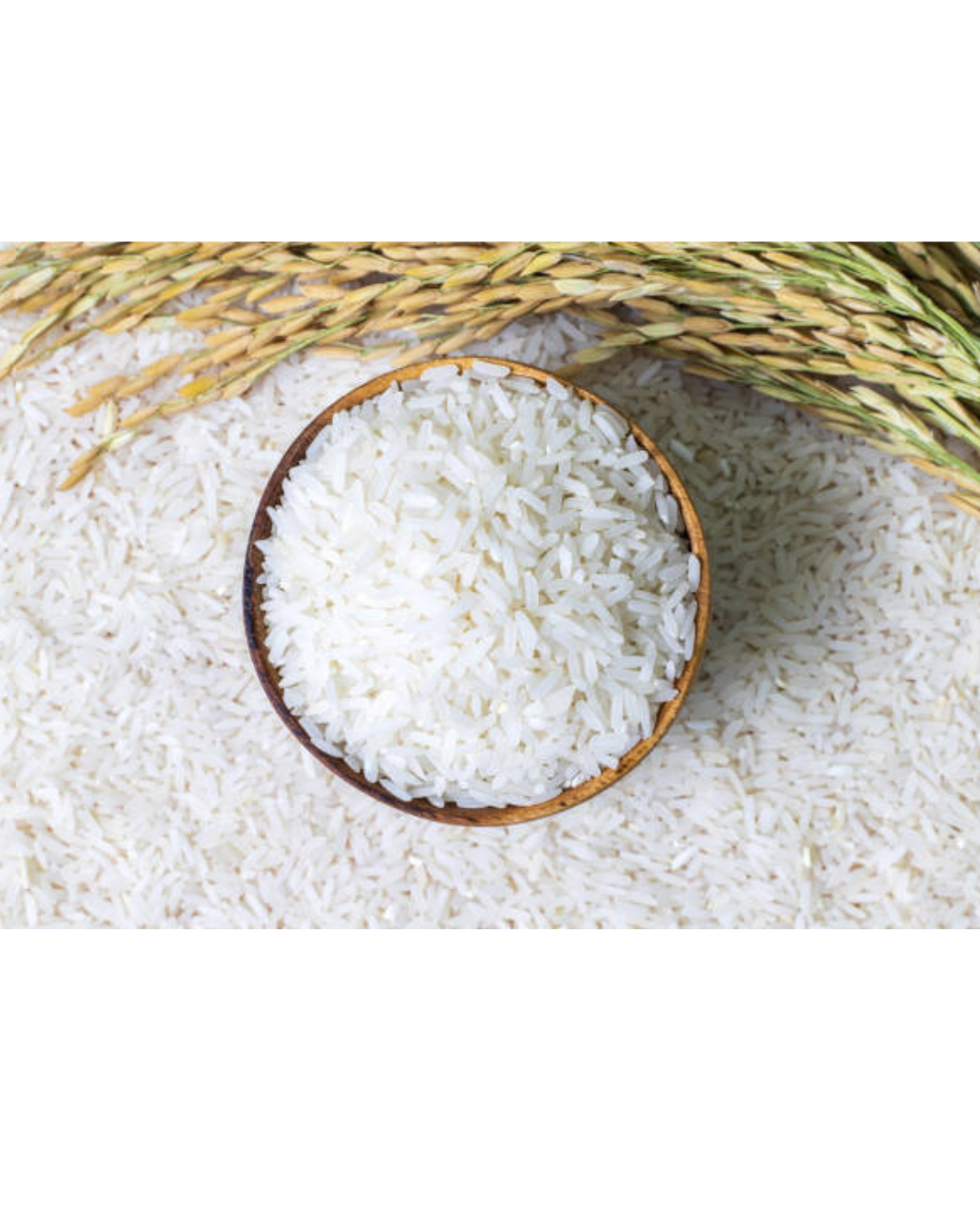 Manna Jasmine Rice (20 lbs)