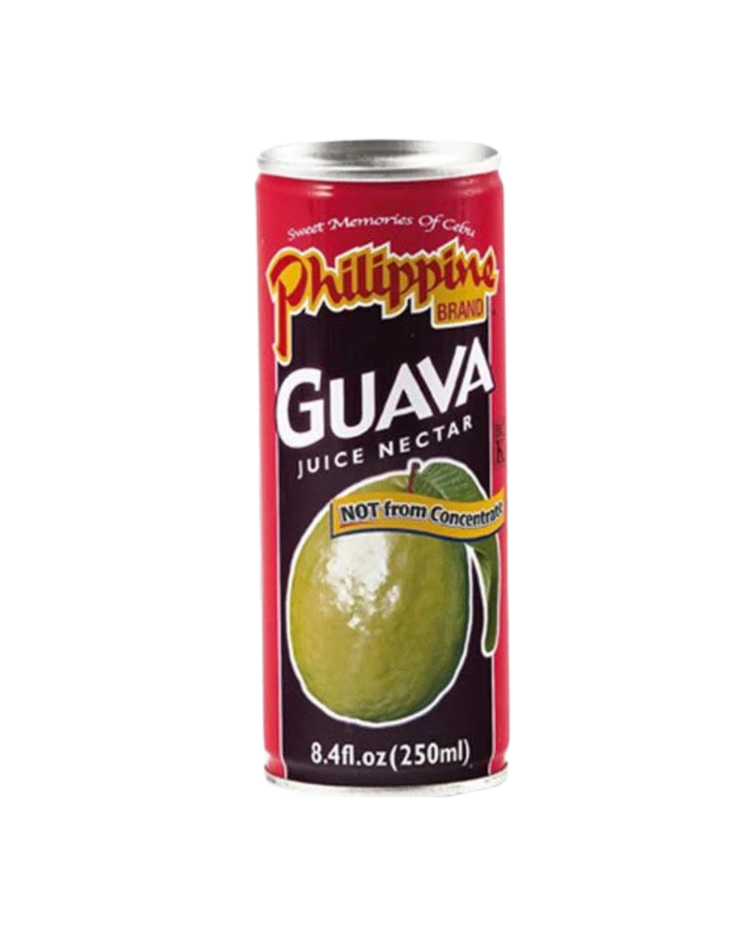 Philippine Brand Guava Nectar - 24/250ml | 3.53oz