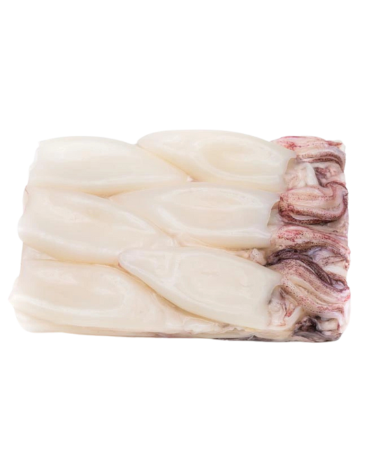 Calamari Squid Tube & Tentacles  - 12/25