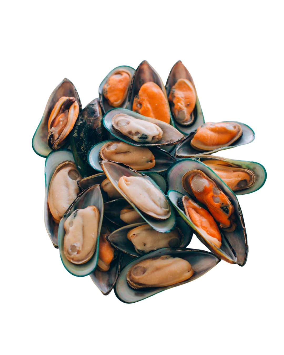 Shell Ood Mussel - Half Shell - 24lbs – WOW FOOD DISTRIBUTOR