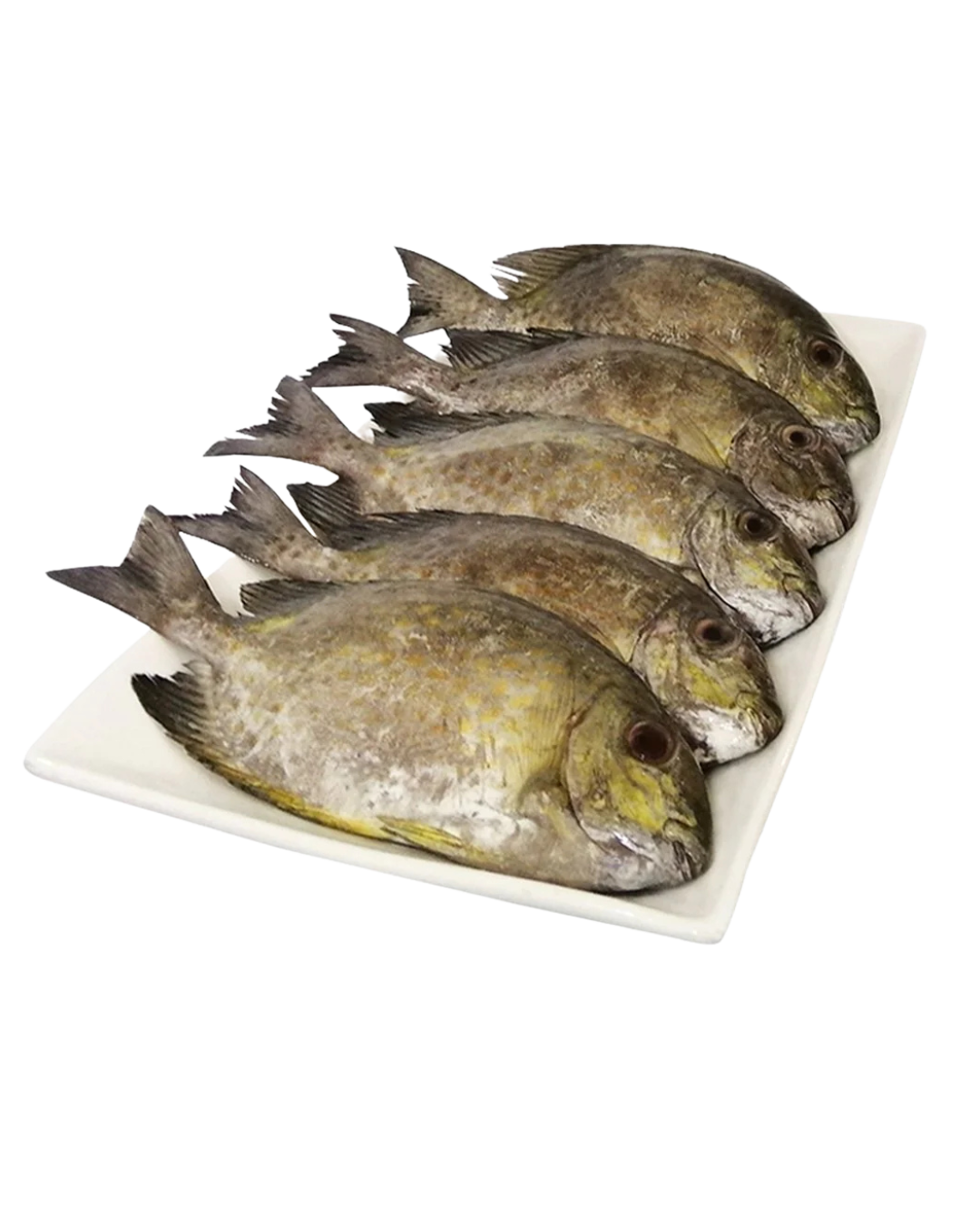 Rabbit Fish (Samaral) 400/600g - 22lbs – WOW FOOD DISTRIBUTOR
